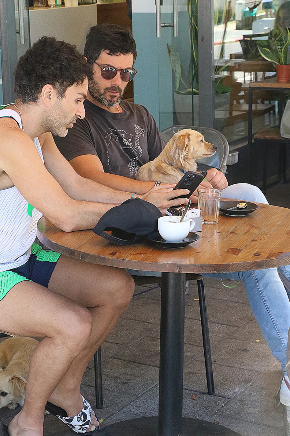 רון שחר (צילום: פול סגל)