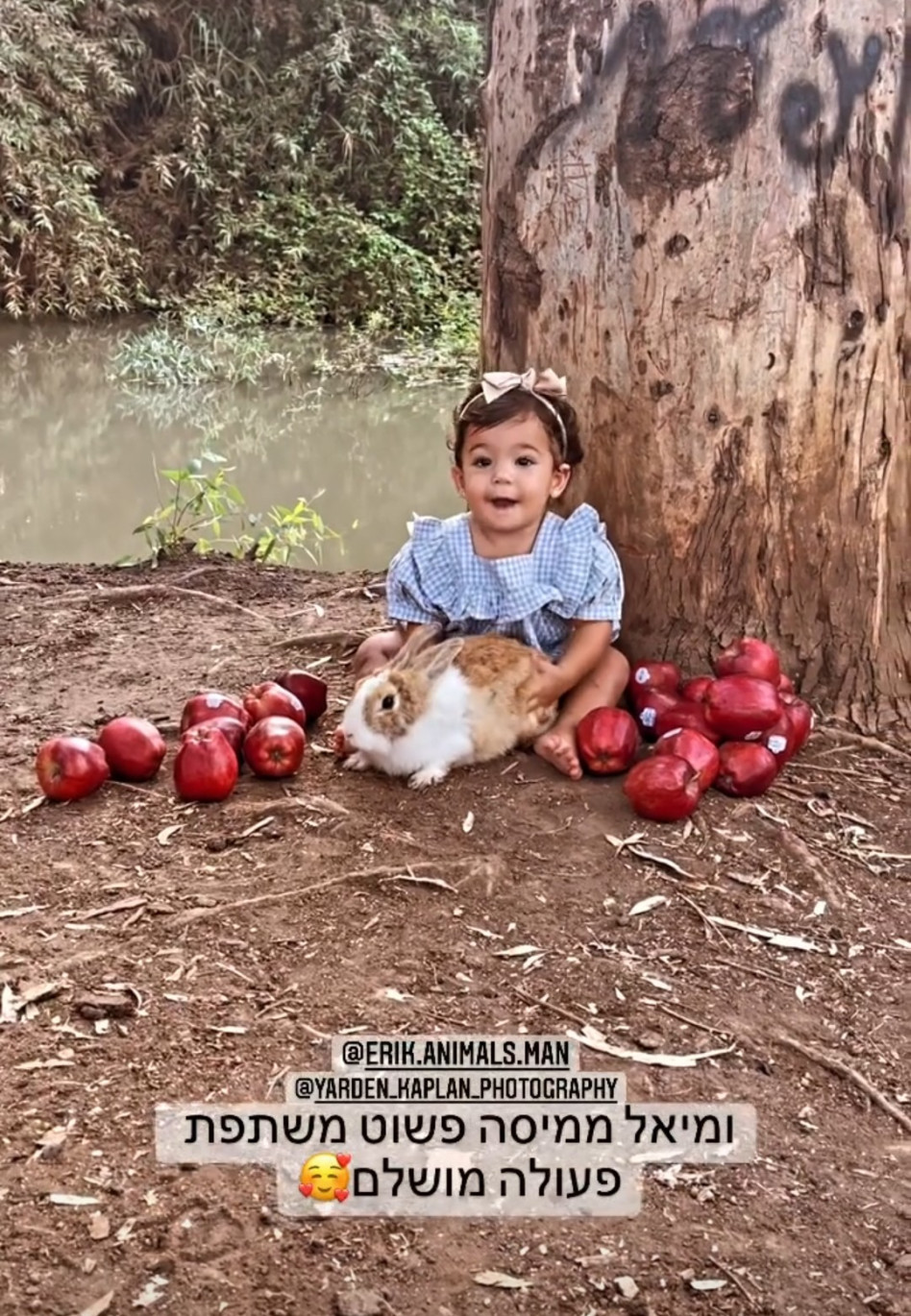 מיאל גולן (צילום: ירדן קפלן)