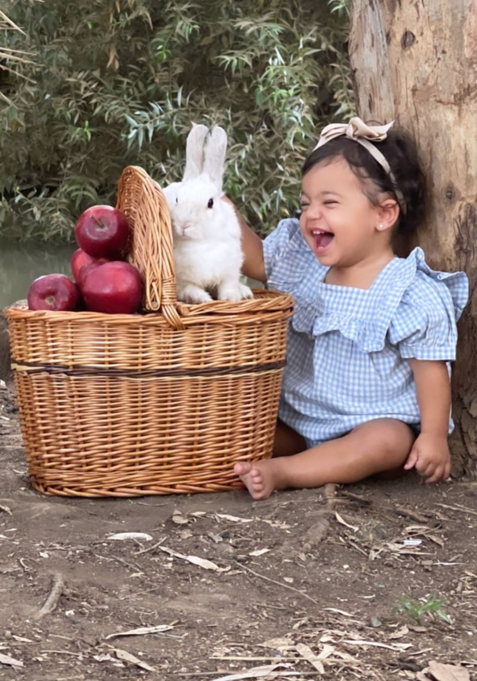 מיאל גולן (צילום: ירדן קפלן)