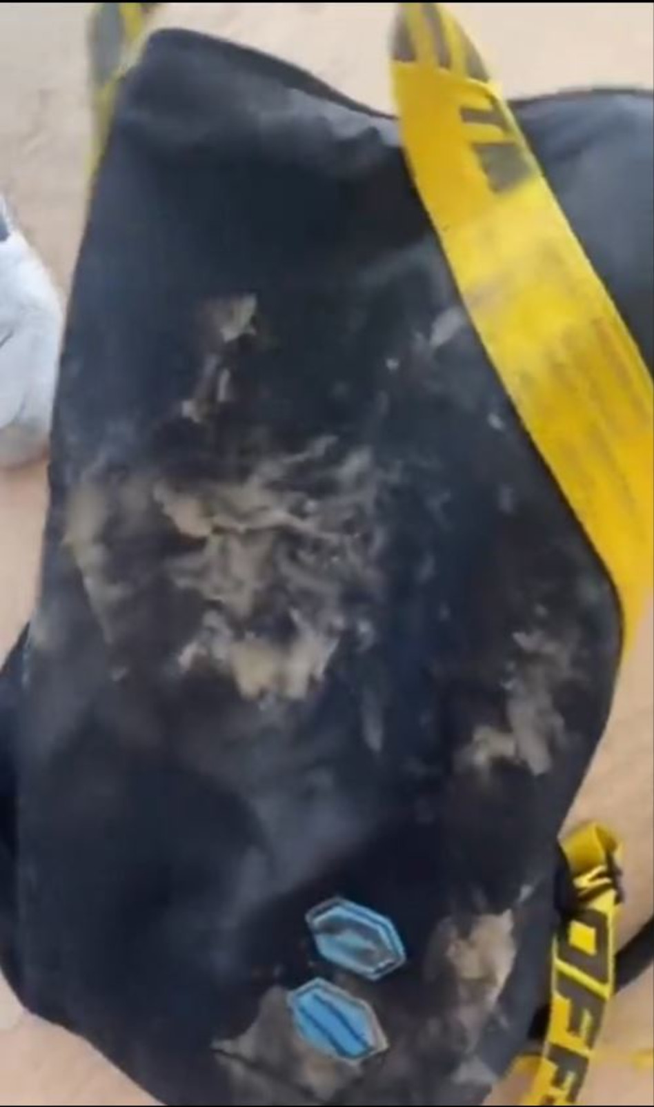 התיק שנהרס (צילום: צילום מסך אינסטגרם)