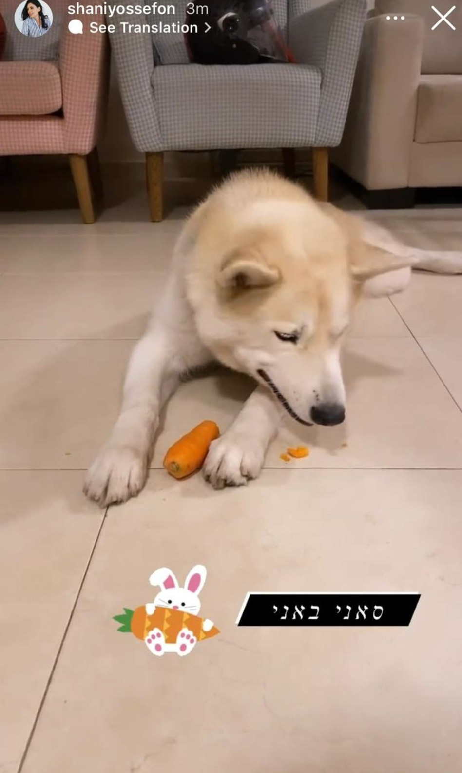 שני יוסיפון בבית של דני (צילום: צילום מסך אינסטגרם)