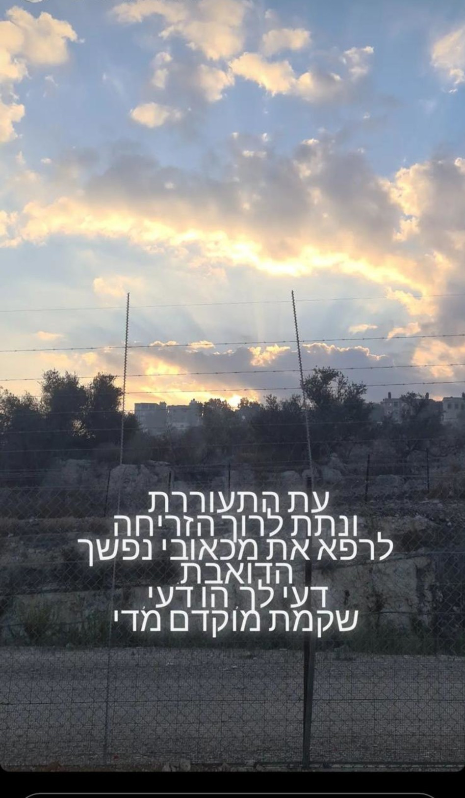 גלעד שלמור (צילום: צילום מסך אינסטגרם)