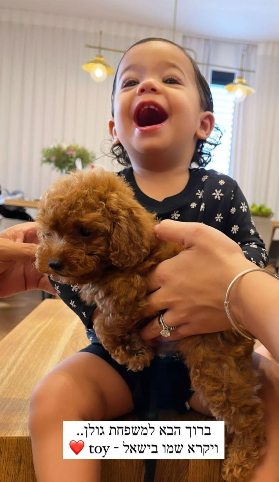 מיאל גולן (צילום: צילום מסך אינסטגרם)