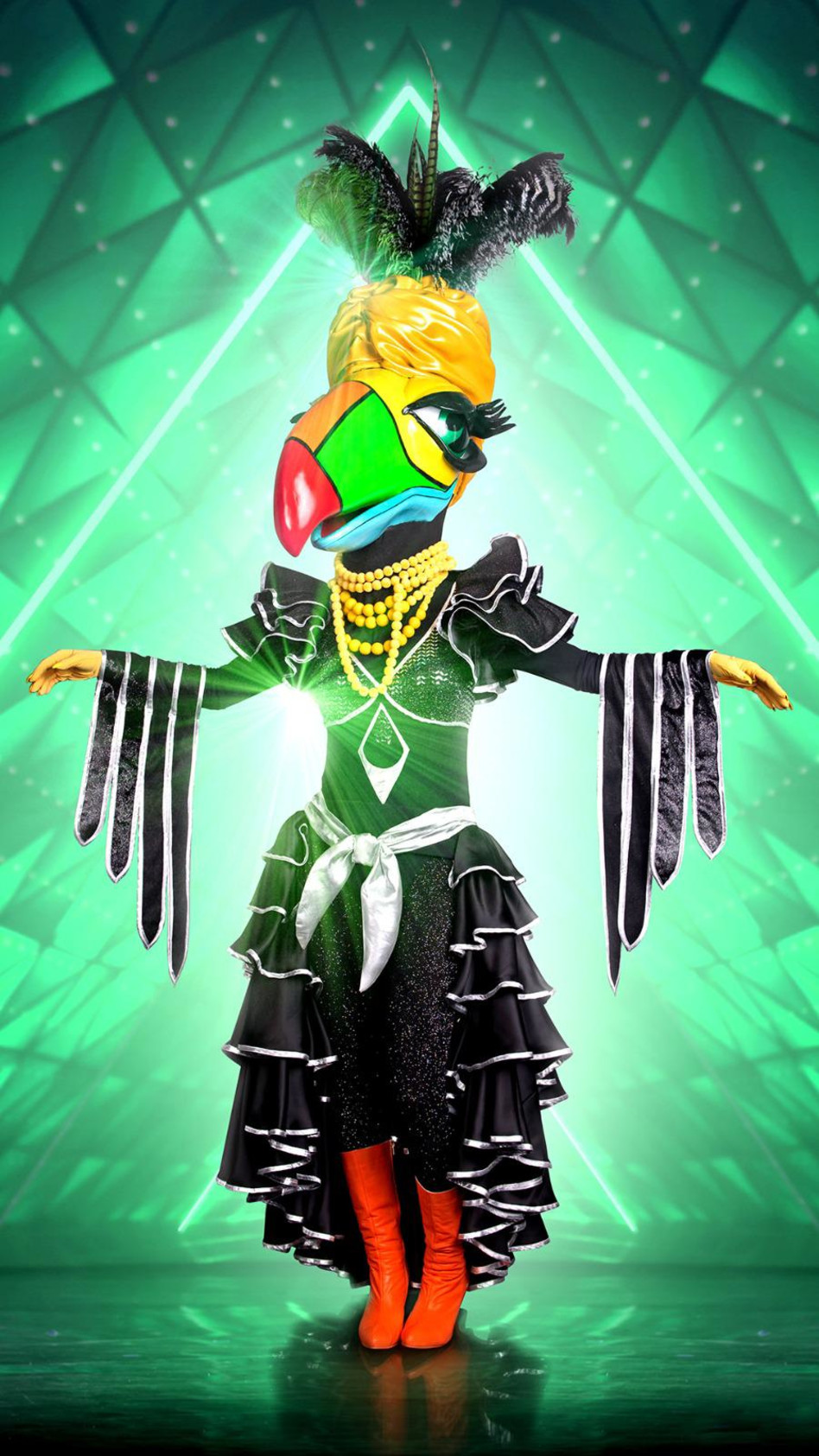 התוכי (צילום: ערן לוי)