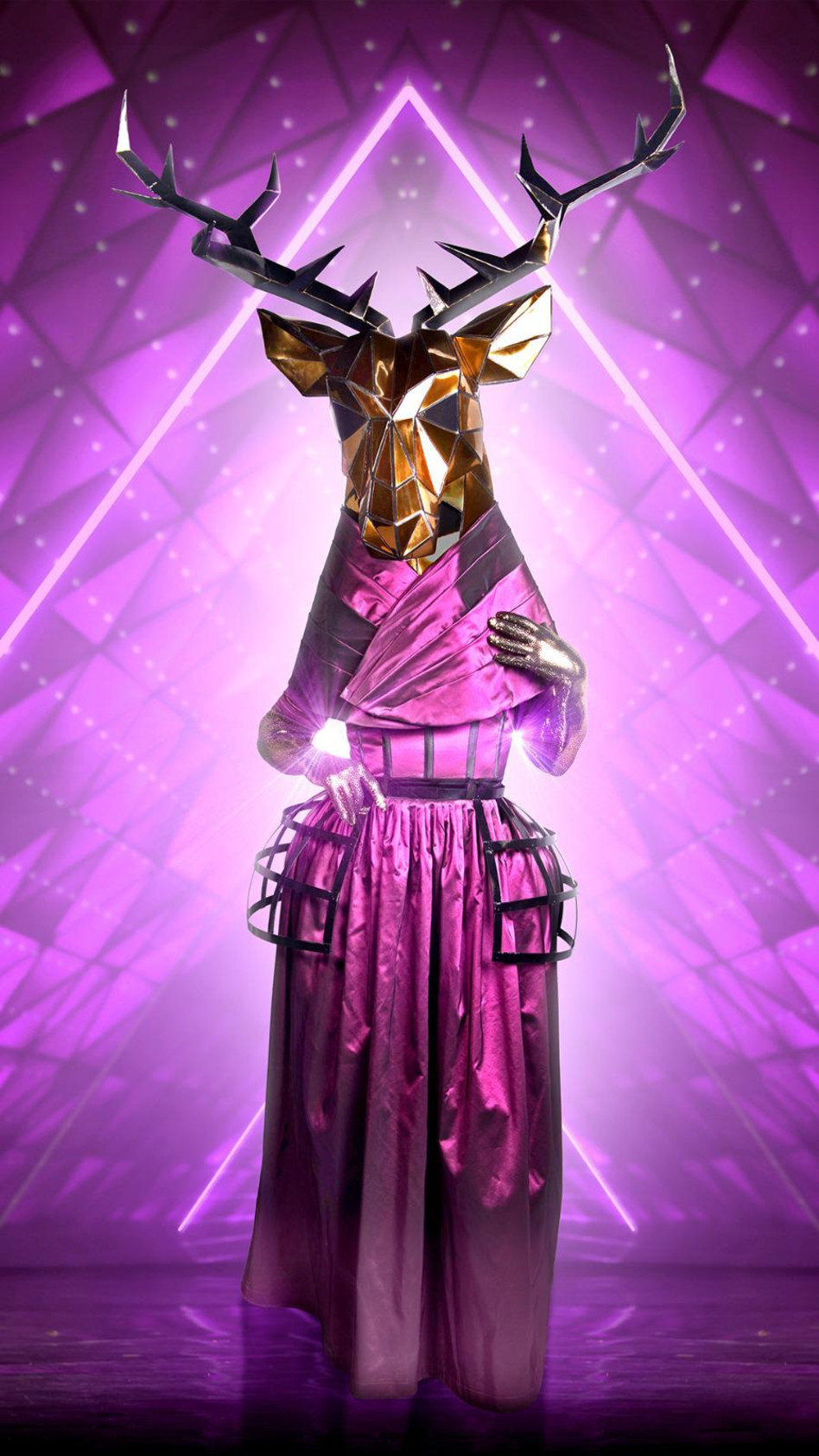 האיילה, הזמר במסכה (צילום: ערן לוי)