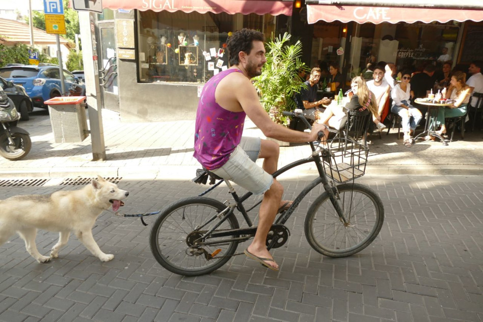 דני זיסקינד (צילום: אמיר מאירי)