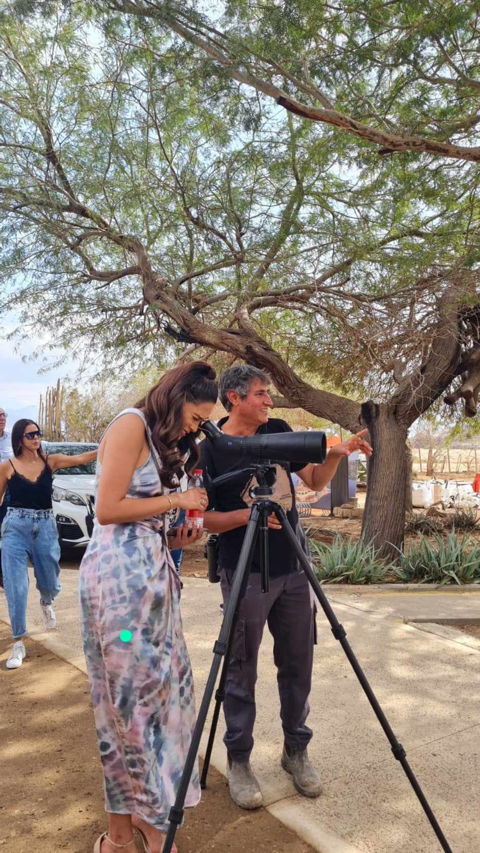 אנדריאה מסה  (צילום: איילת וייס)