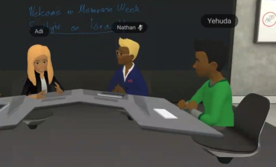 האווטר של עדי סופר תאני (צילום: צילום מסך)