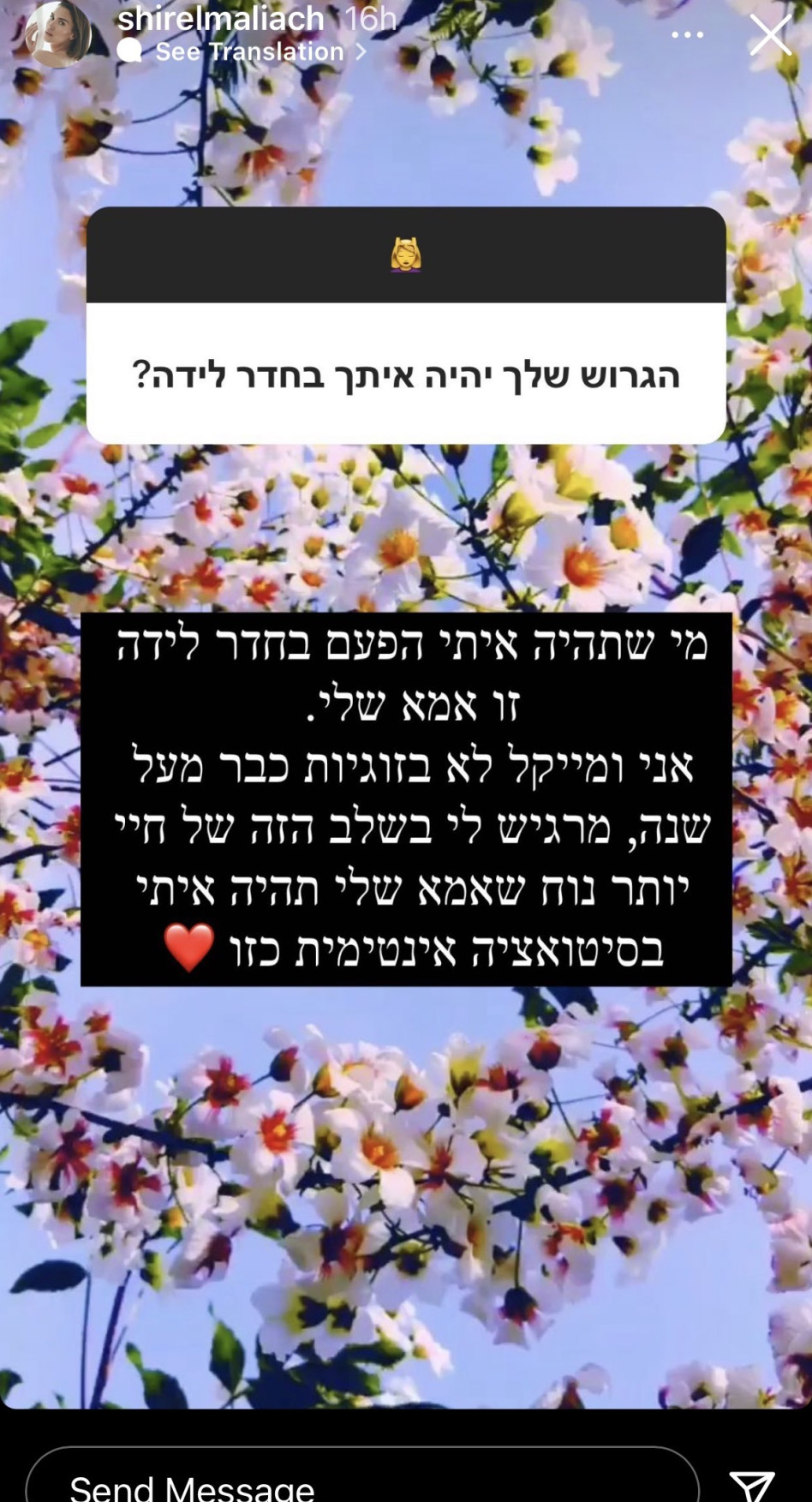 הסטורי של שיר אלמליח (צילום: צילום מסך אינסטגרם)