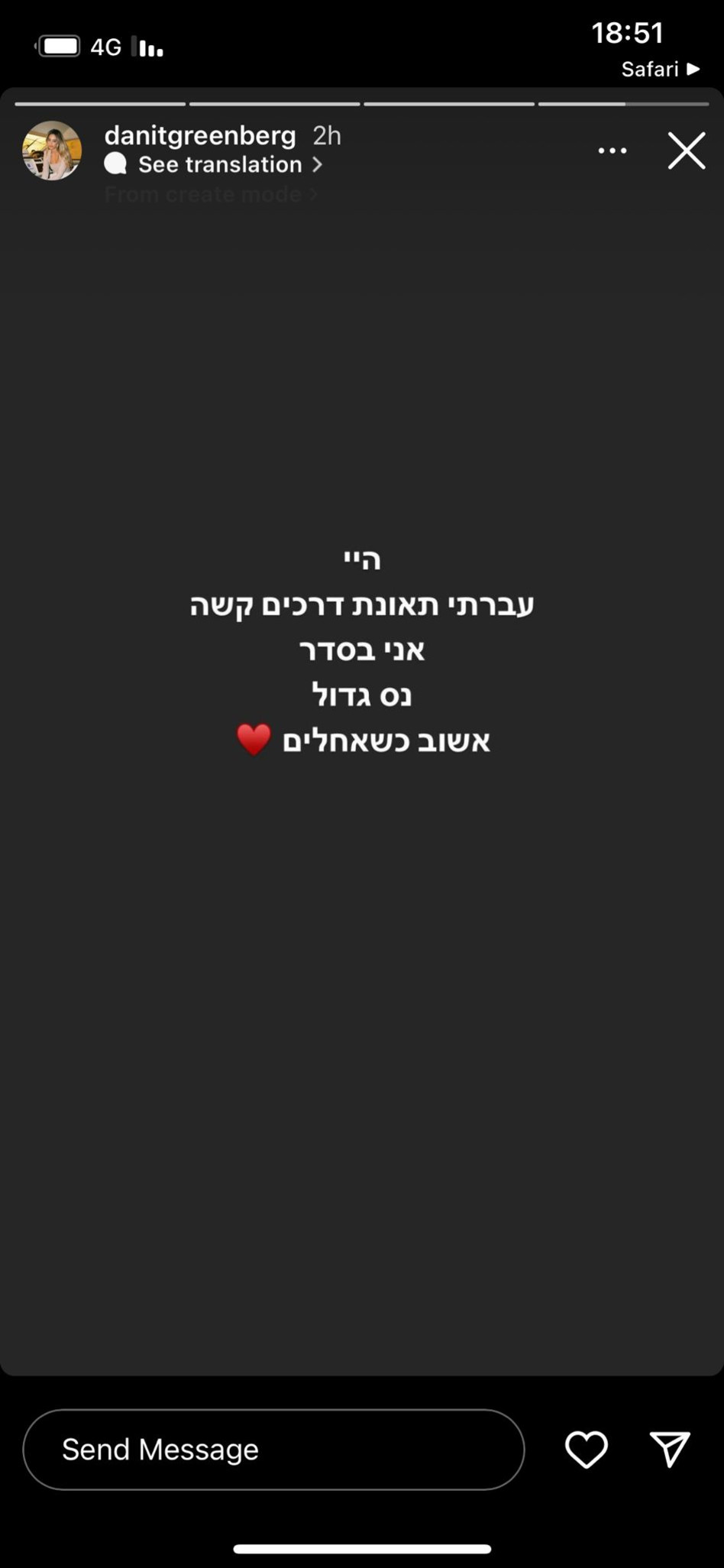 הסטורי של דנית גרינברג (צילום: צילום מסך מתוך אינסטגרם)