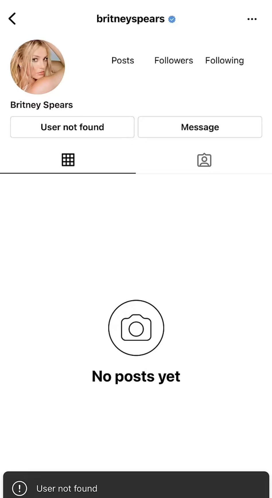 האינסטגרם של בריטני ספירס (צילום: צילום מסך אינסטגרם)