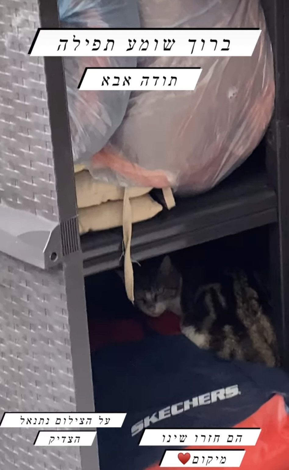 לינור אברג'יל (צילום: צילום מסך אינסטגרם)