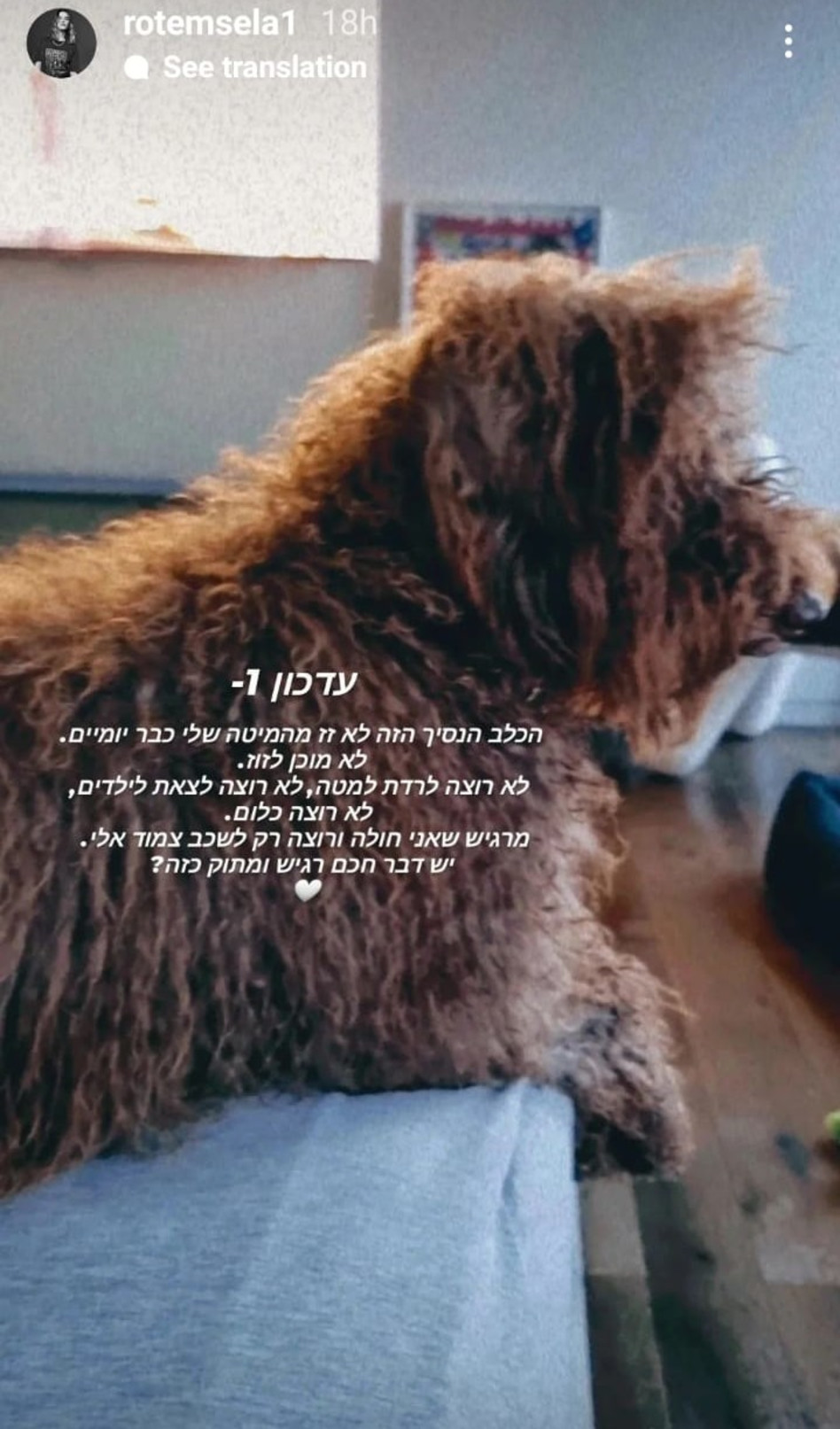 רותם סלע (צילום: צילום מסך אינסטגרם)