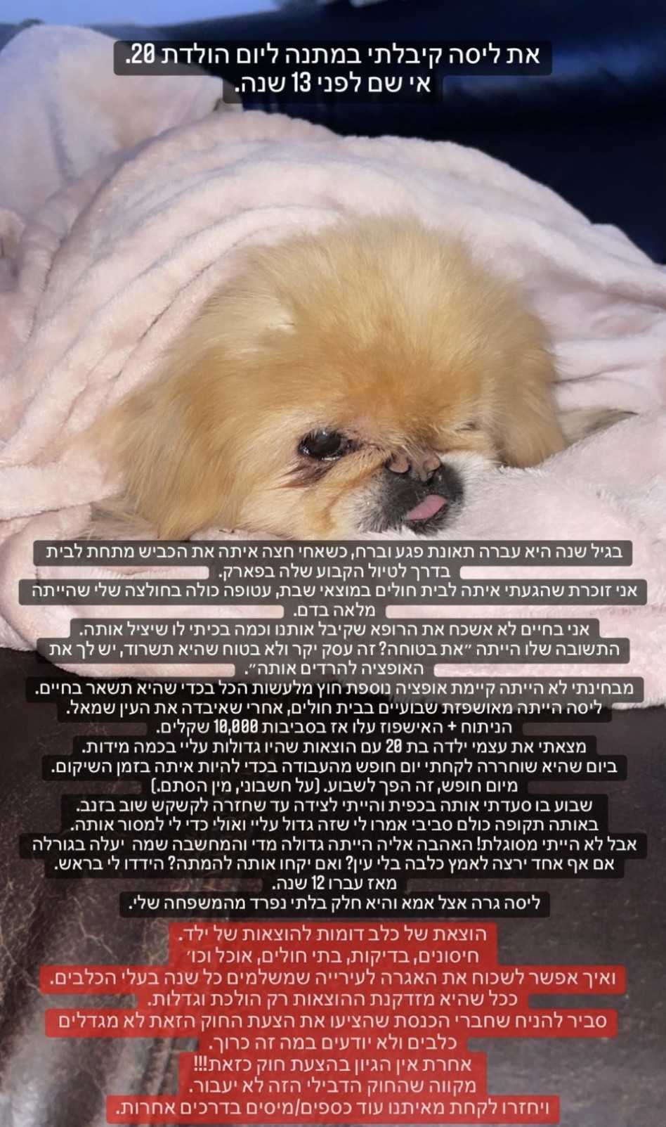 תקוה גדעון (צילום: צילום מסך אינסטגרם)