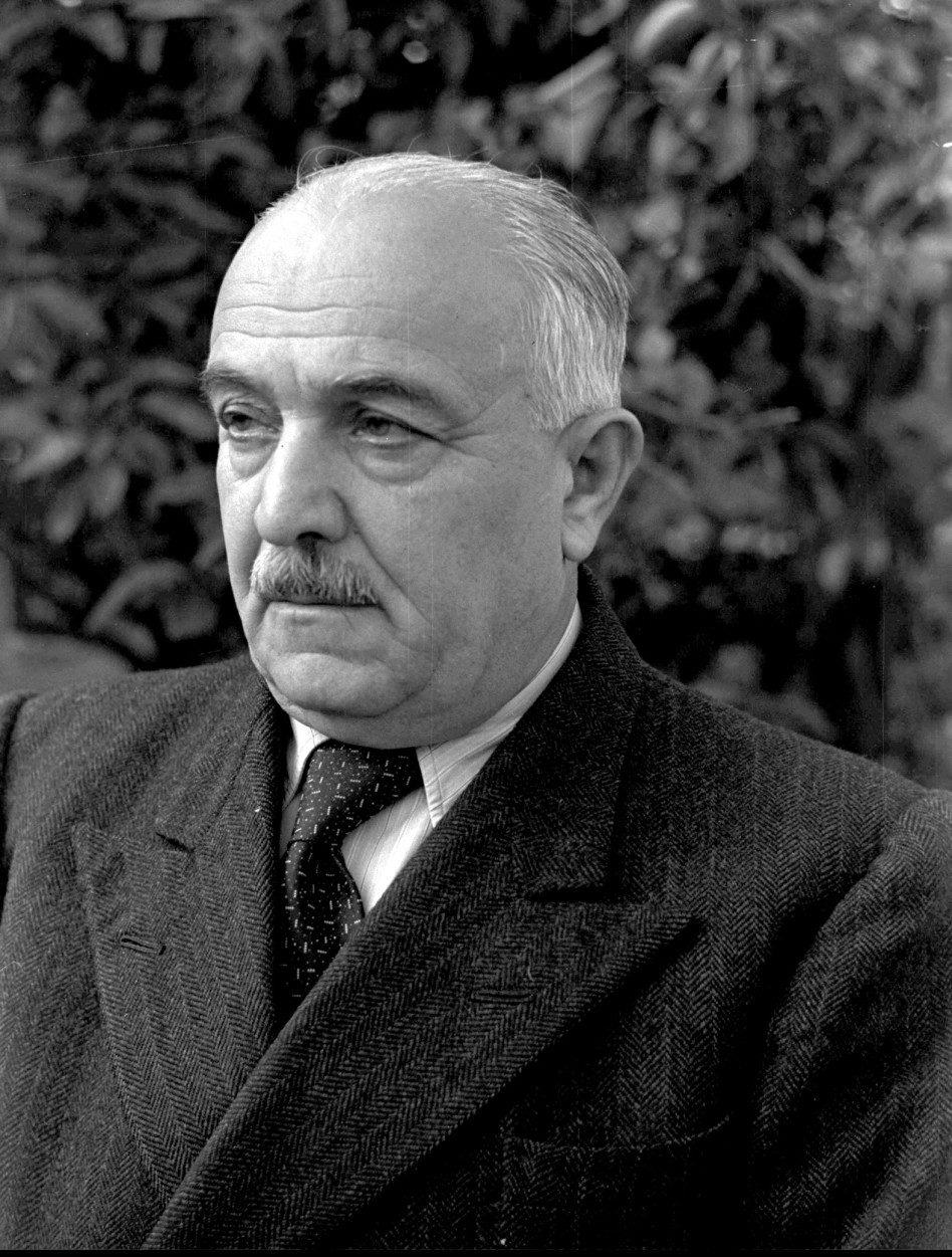 דוד רמז (צילום: לע''מ)