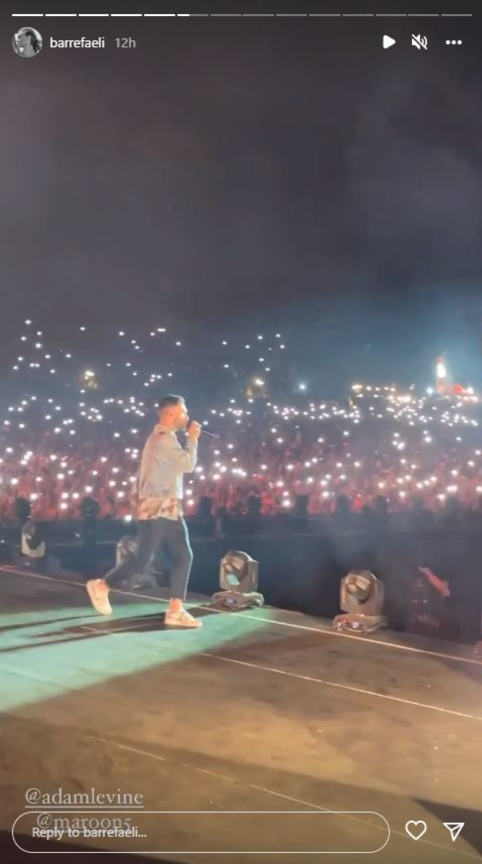 אדם לוין (צילום: צילום מסך אינסטגרם)