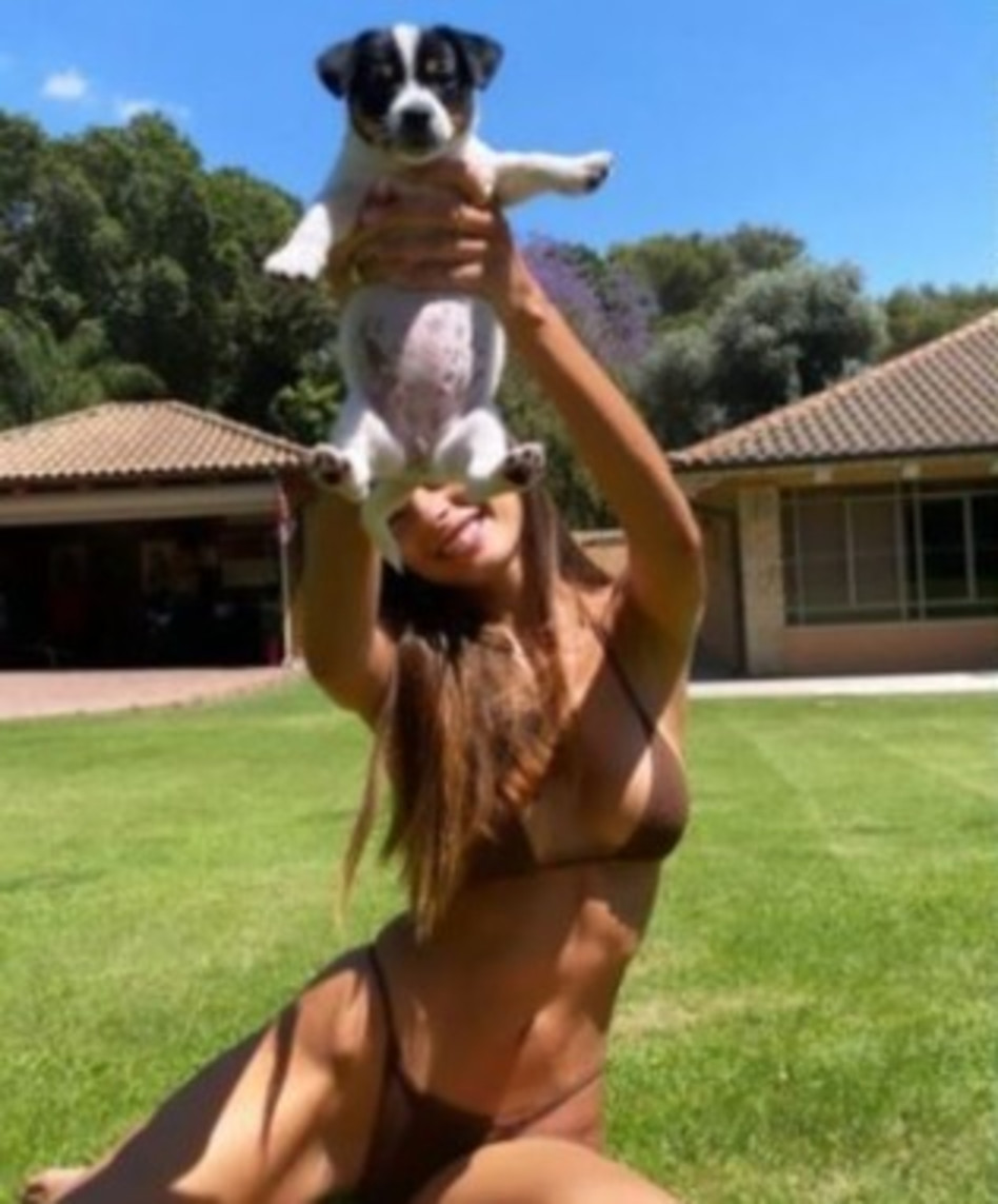 דיאן שוורץ (צילום: צילום מסך אינסטגרם)