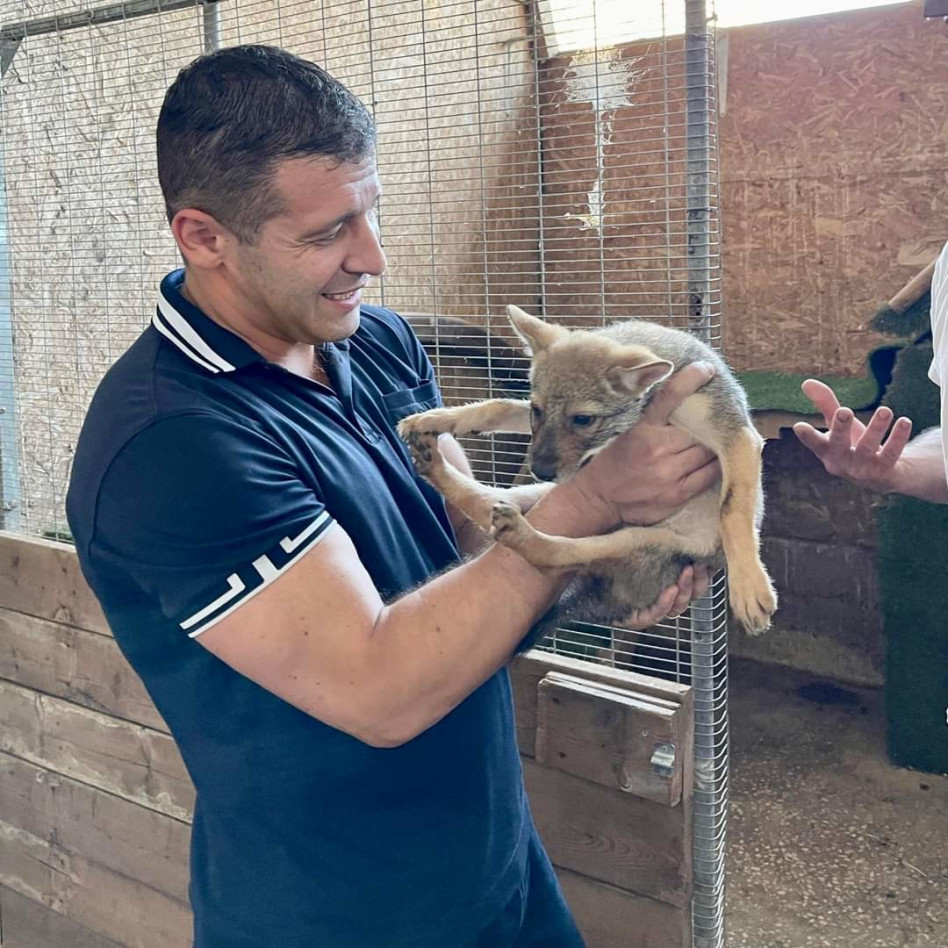 אלכס קושניר (צילום: מיכל אקרמן)