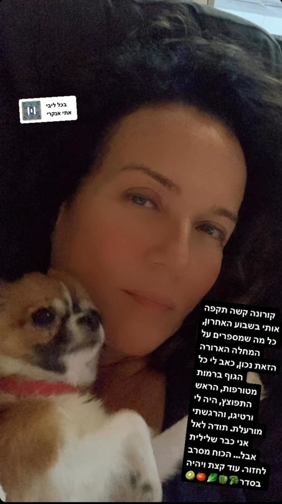 צופית גרנט (צילום: צילום מסך אינסטגרם)