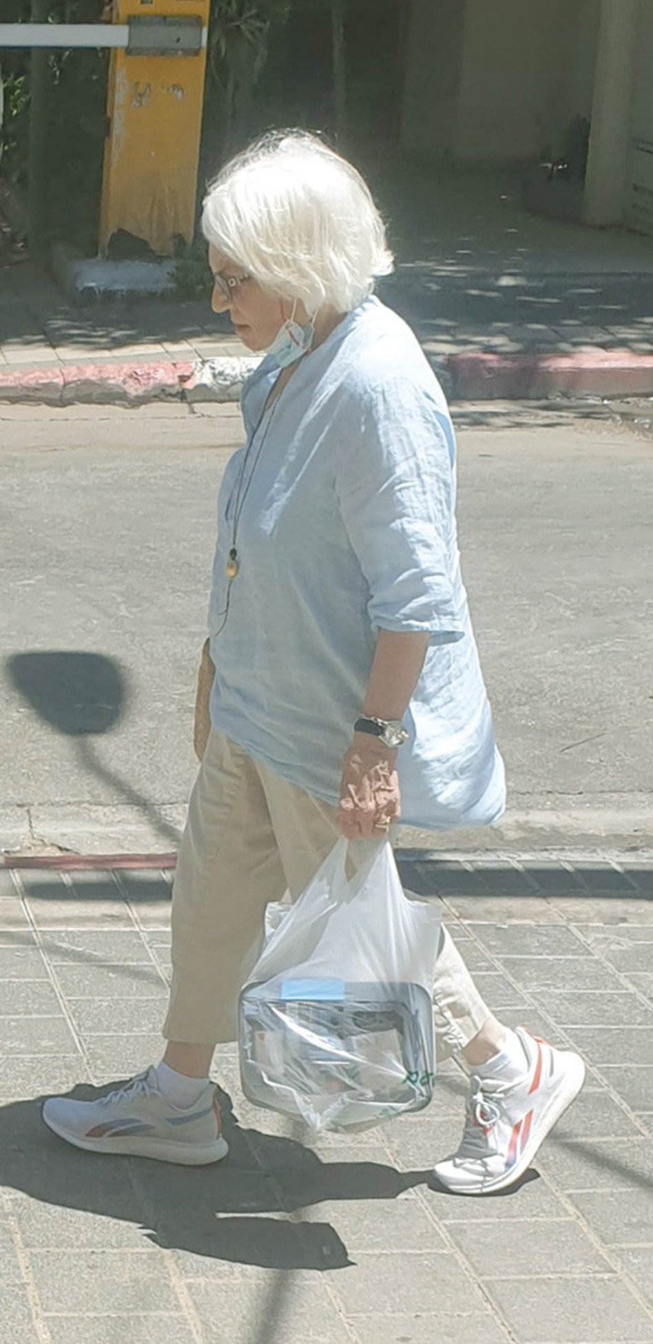 שולמית לפיד (צילום: בנג'י וינשטוק)