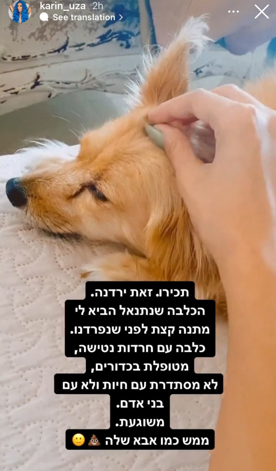 זוגתו לשעבר של נתנאל (צילום: צילום מסך אינסטגרם)