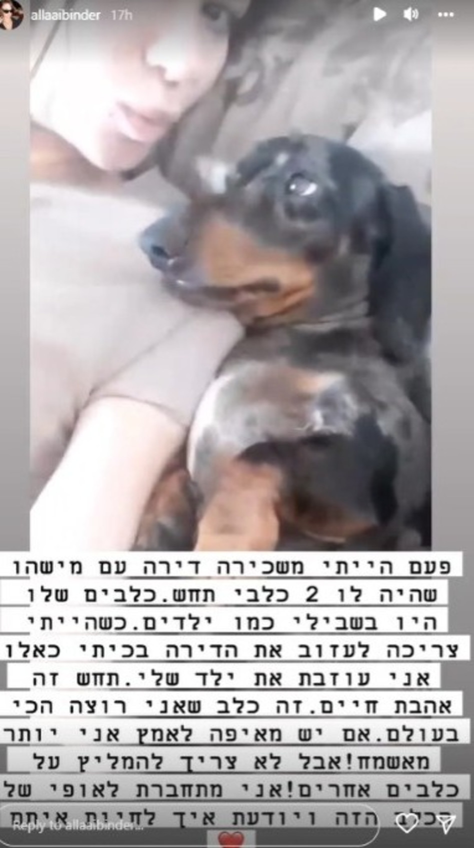 אלה אייבנדר (צילום: צילום מסך אינסטגרם)