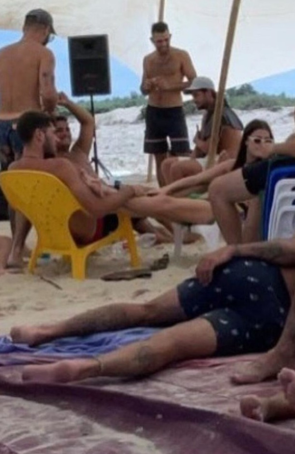 גל גברעם, יאיר פלור (צילום: צילום גולשים)