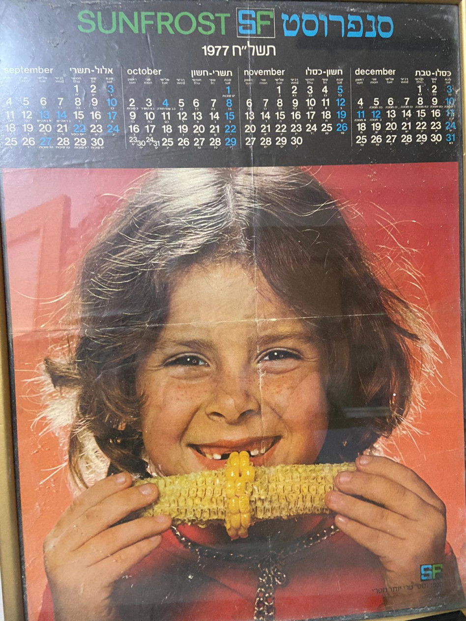 איילת נחמיאס-ורבין  (צילום: מתוך פייסבוק)