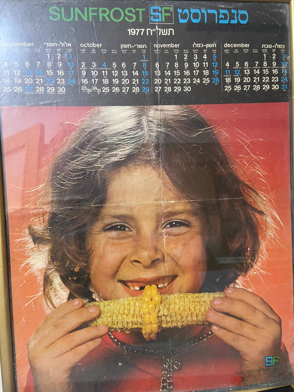 איילת נחמיאס-ורבין  (צילום: צילום מסך מתוך פייסבוק)