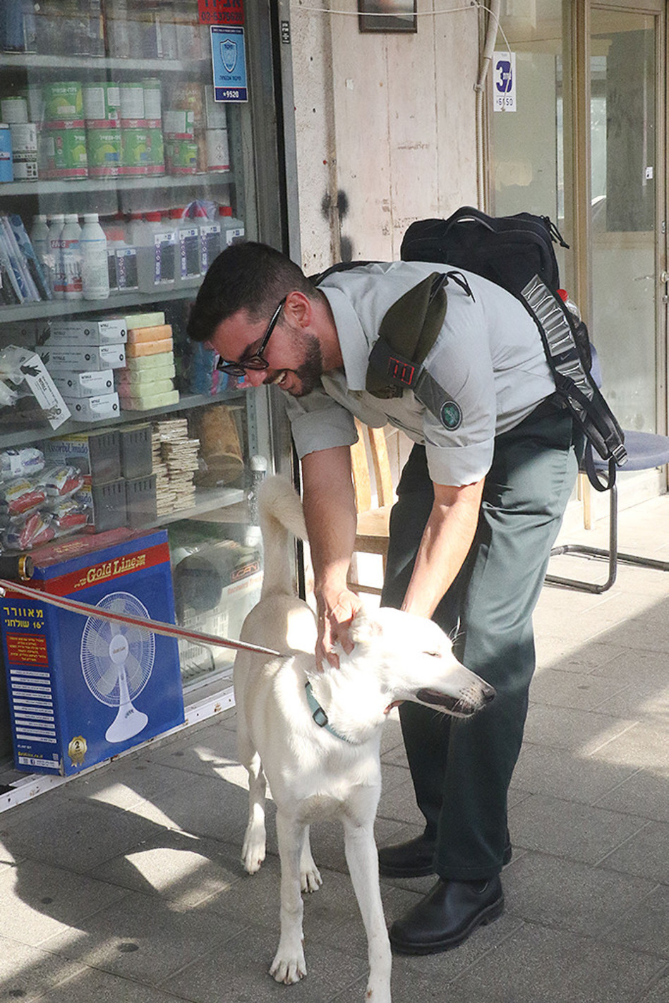 מתן וייס (צילום: פול סגל)