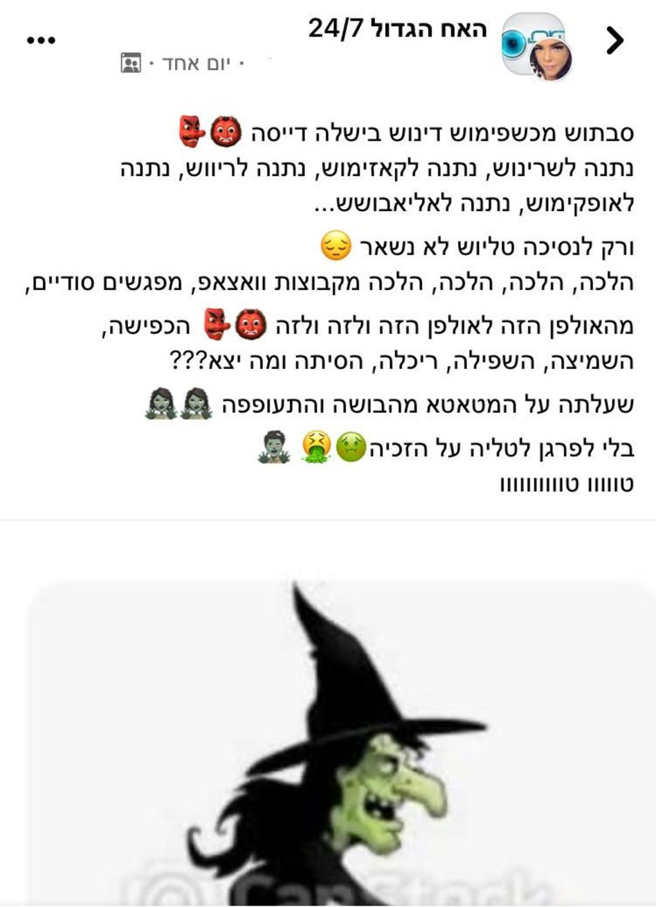 פוסט פוגעני נגד דינה שמחי (צילום: צילום מסך פייסבוק)