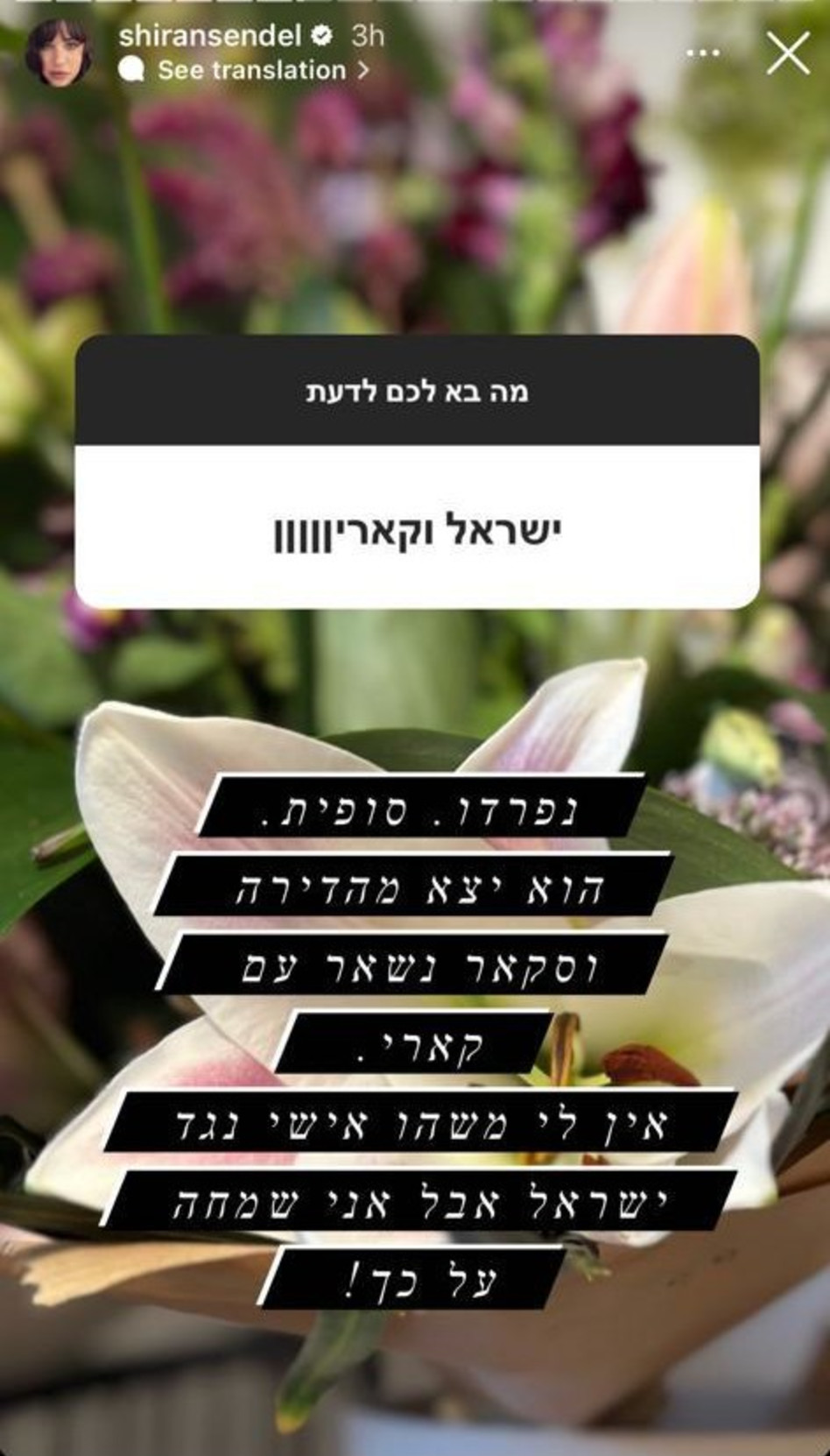 הפוסט של קארין סנדל (צילום: צילום מסך אינסטגרם)