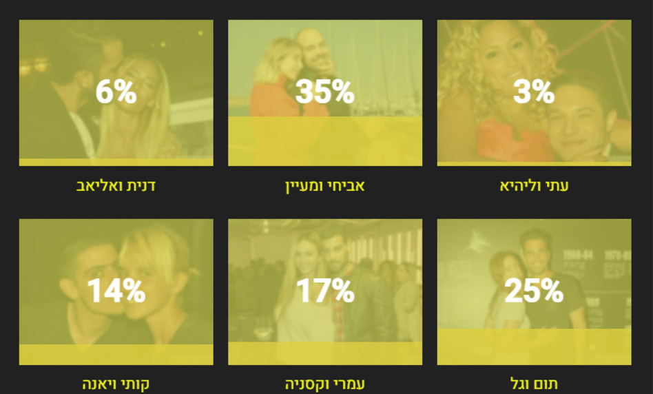 תוצאות סקר - הזוג האהוב ביותר בתולדות ''האח הגדול'' (צילום: מערכת TMI)