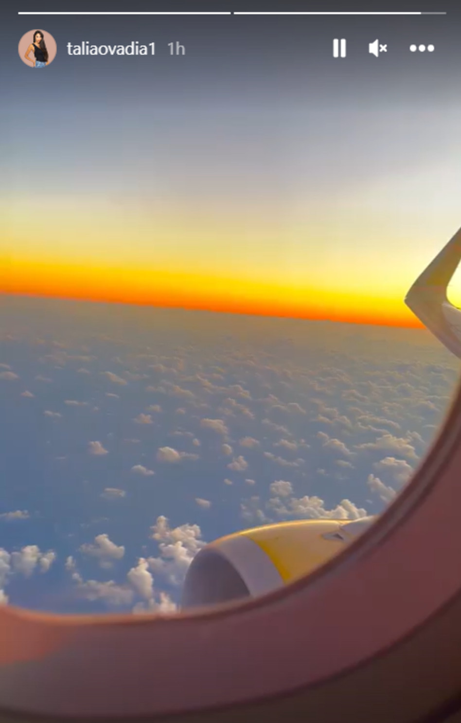 טליה עובדיה בדרך לחופשה (צילום: צילום מסך אינסטגרם)