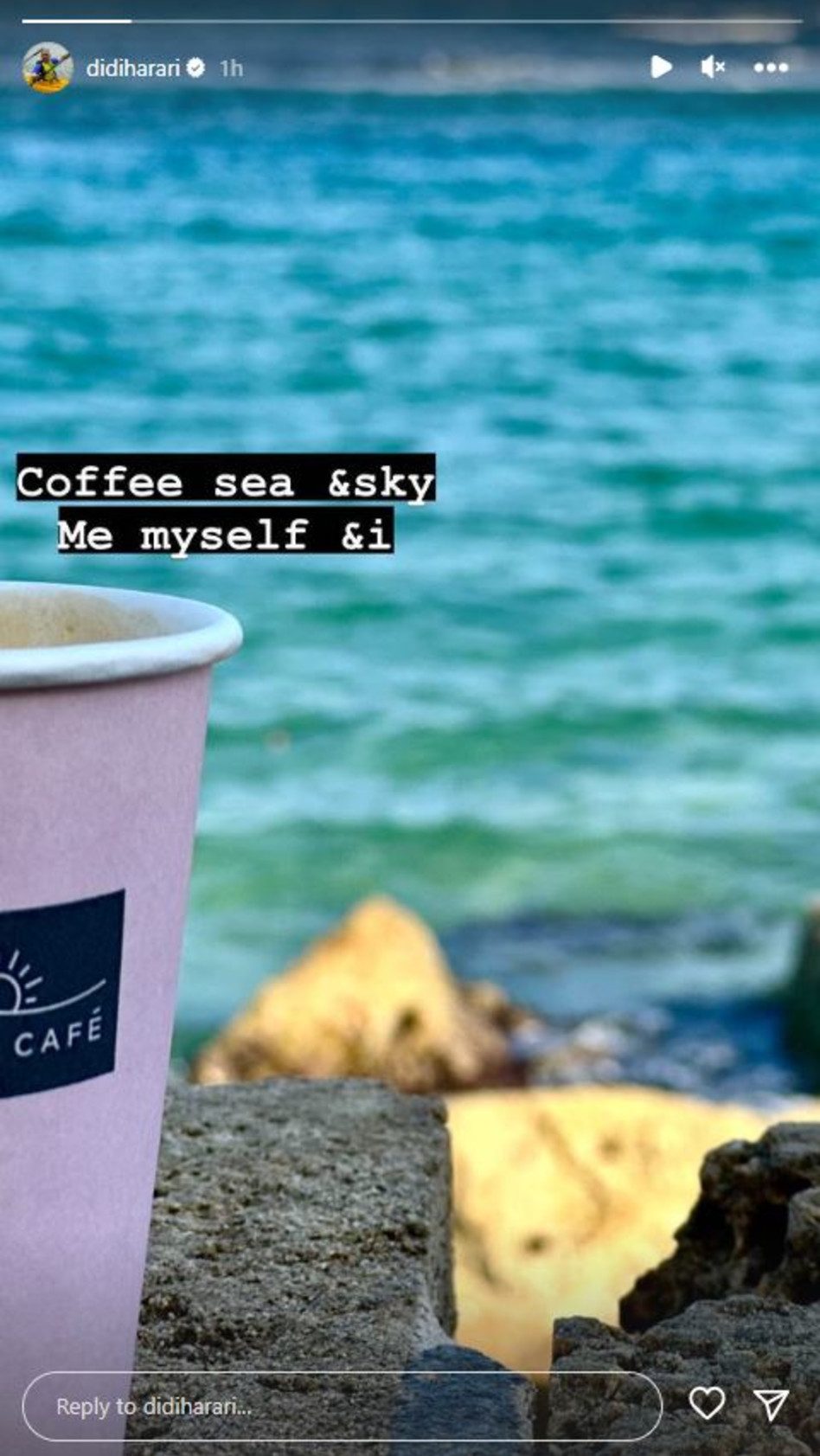 דידי הררי (צילום: צילום מסך אינסטגרם)