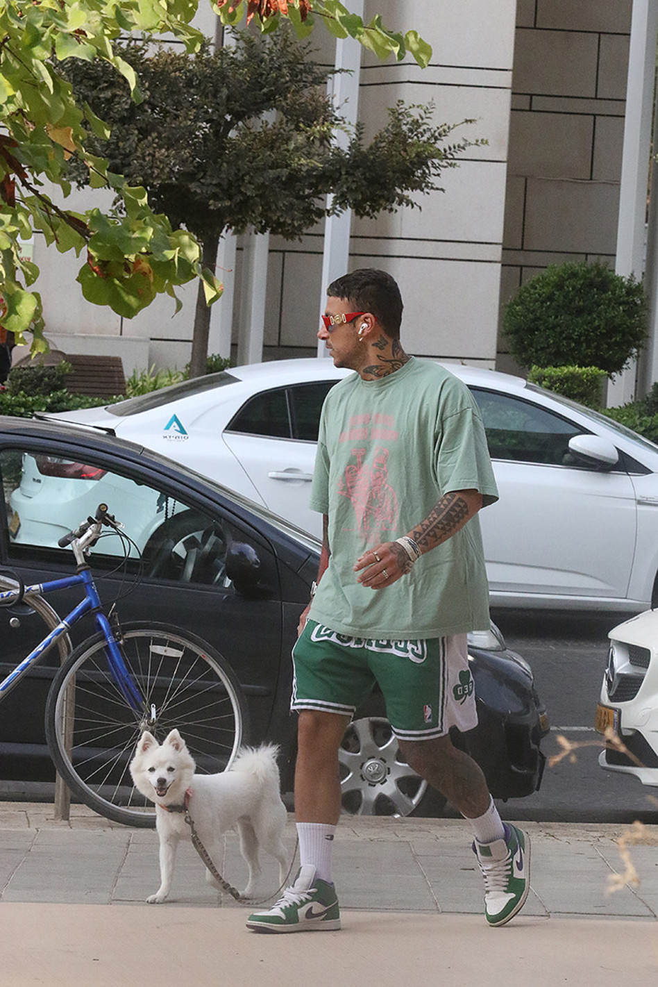 ג'וזי זירה  (צילום: פול סגל)