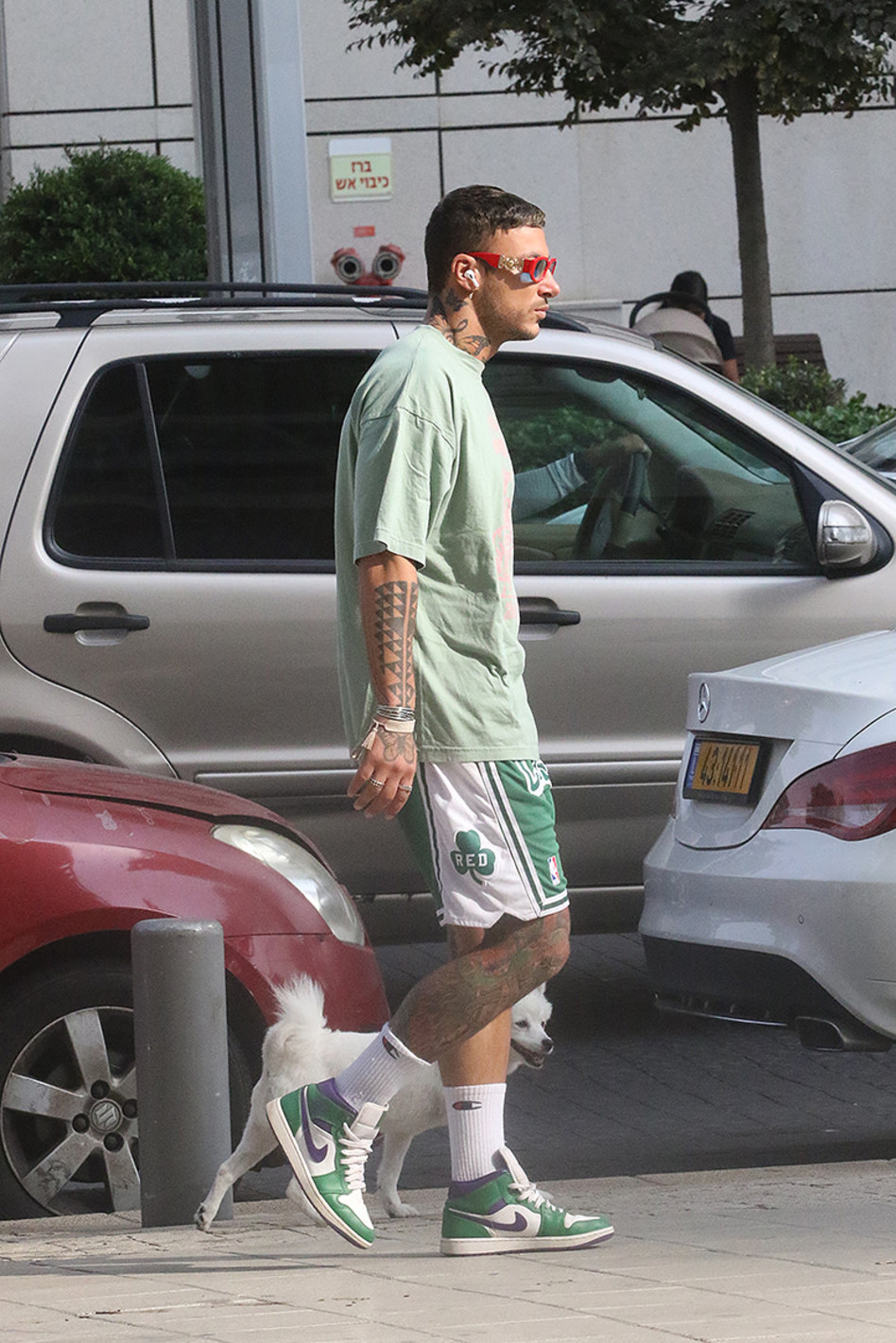 ג'וזי זירה  (צילום: פול סגל)