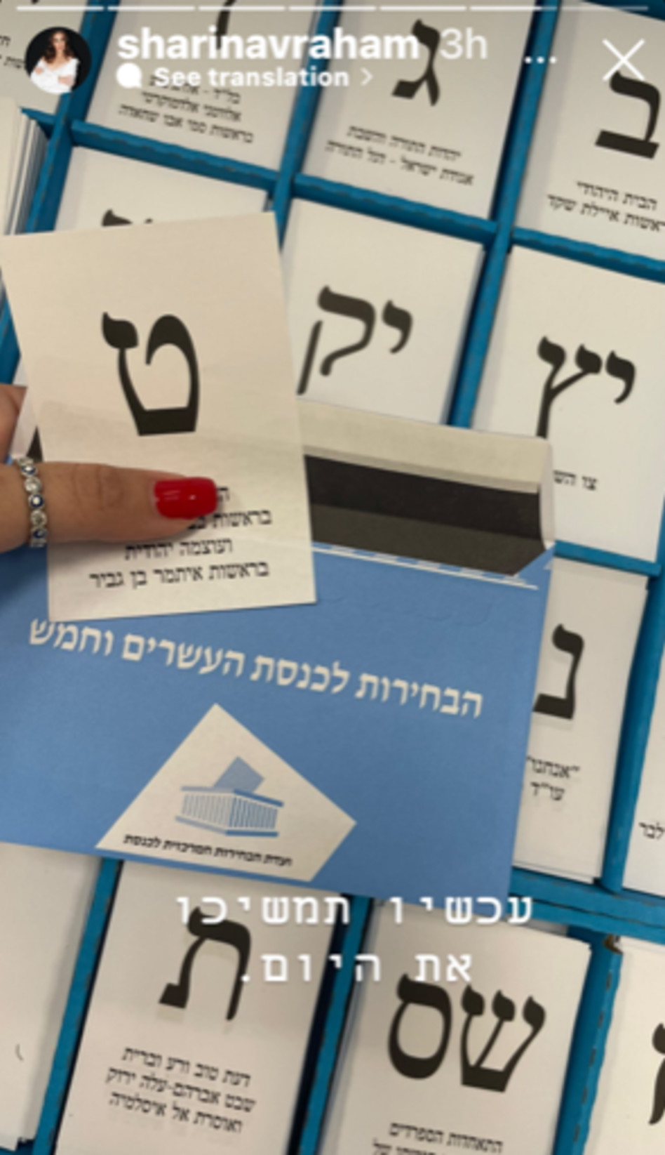 הסלבס בוחרים - שרין אברהם (צילום: צילום מסך אינסטגרם)