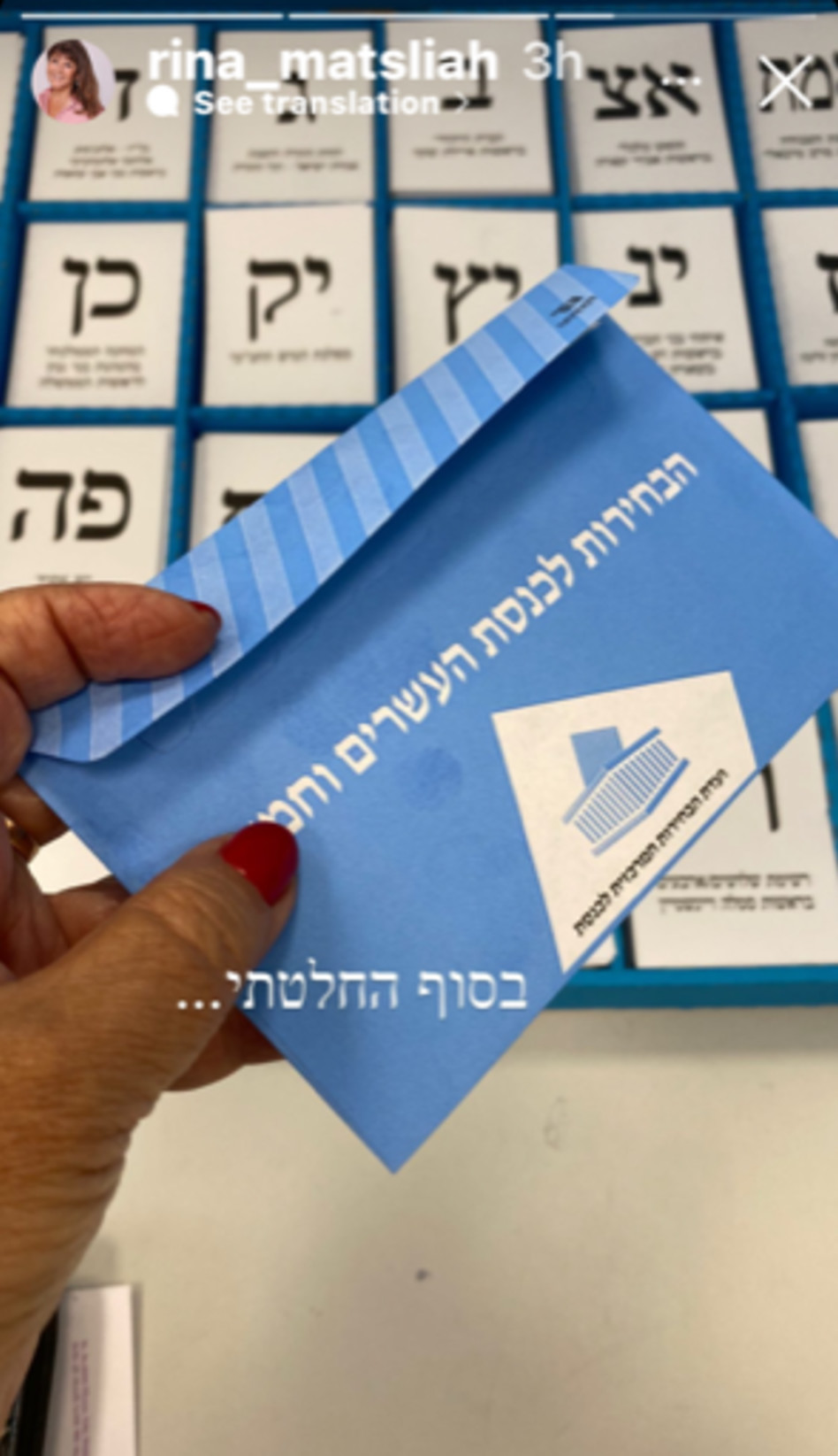 הסלבס בוחרים - רינה מצליח (צילום: צילום מסך אינסטגרם)