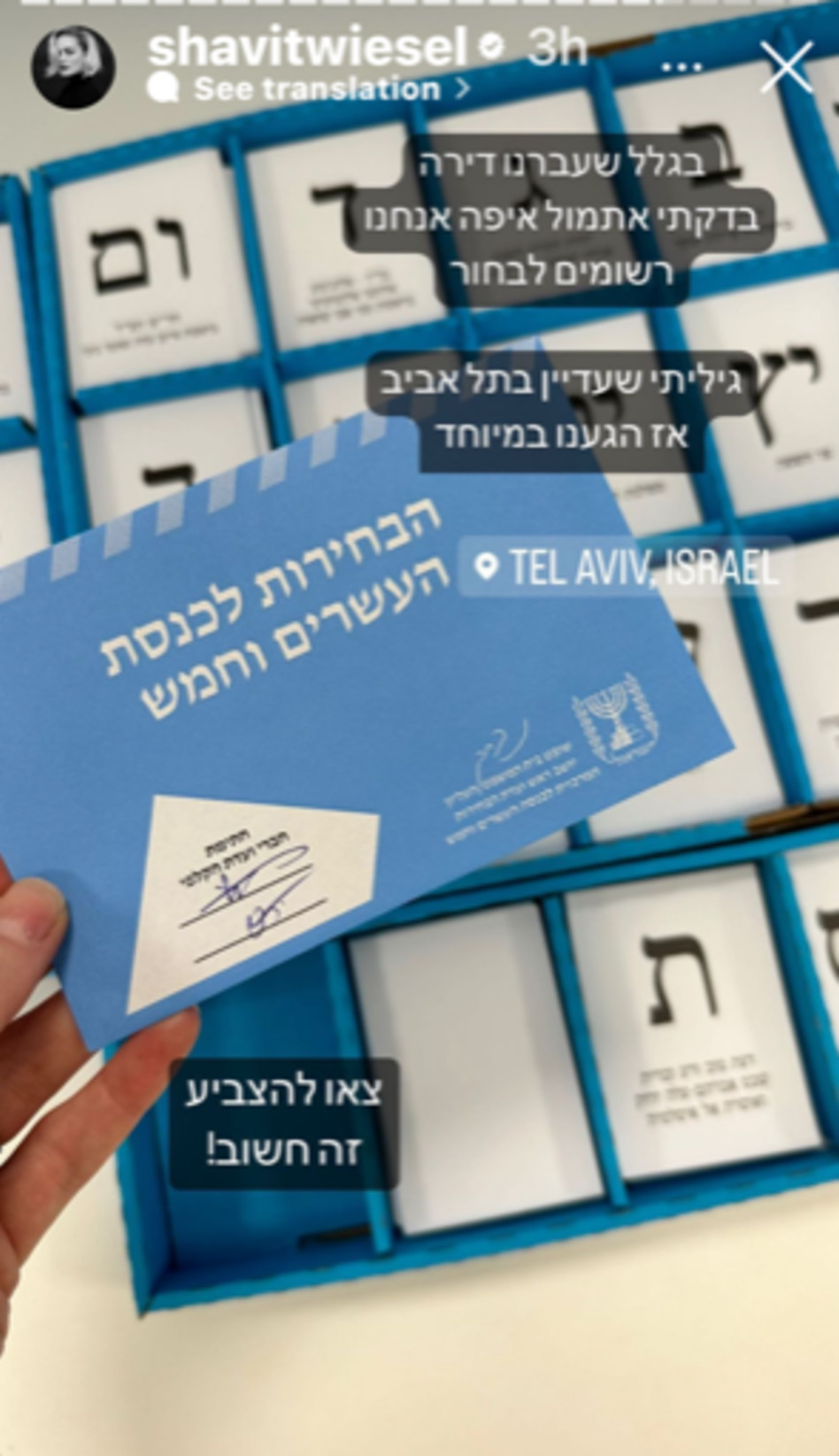 הסלבס בוחרים - שביט ויזל (צילום: צילום מסך אינסטגרם)