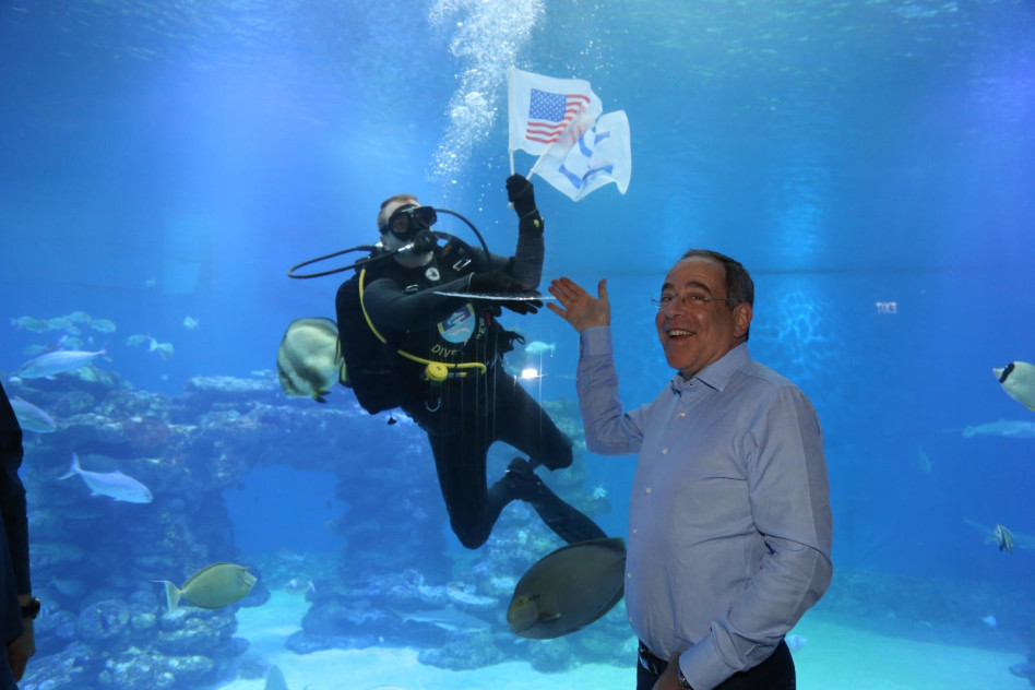 תומאס ניידס  (צילום: אורי רון )