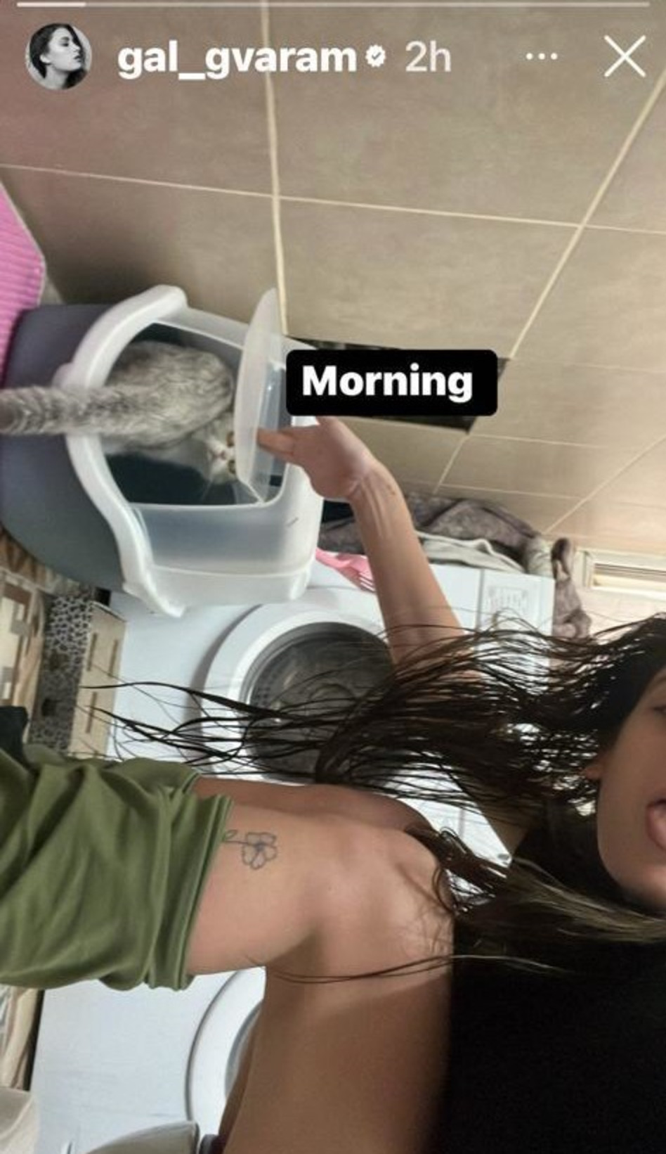 גל גברעם (צילום: צילום מסך אינסטגרם)