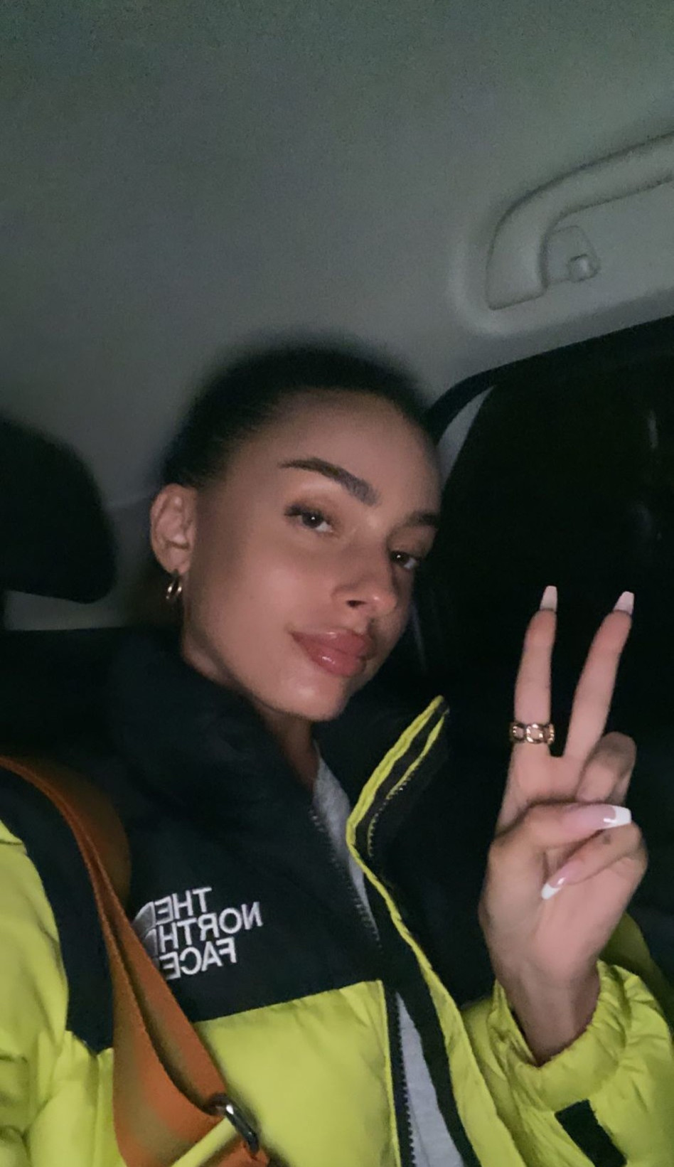 דיאן שוורץ (צילום: צילום מסך אינסטגרם)