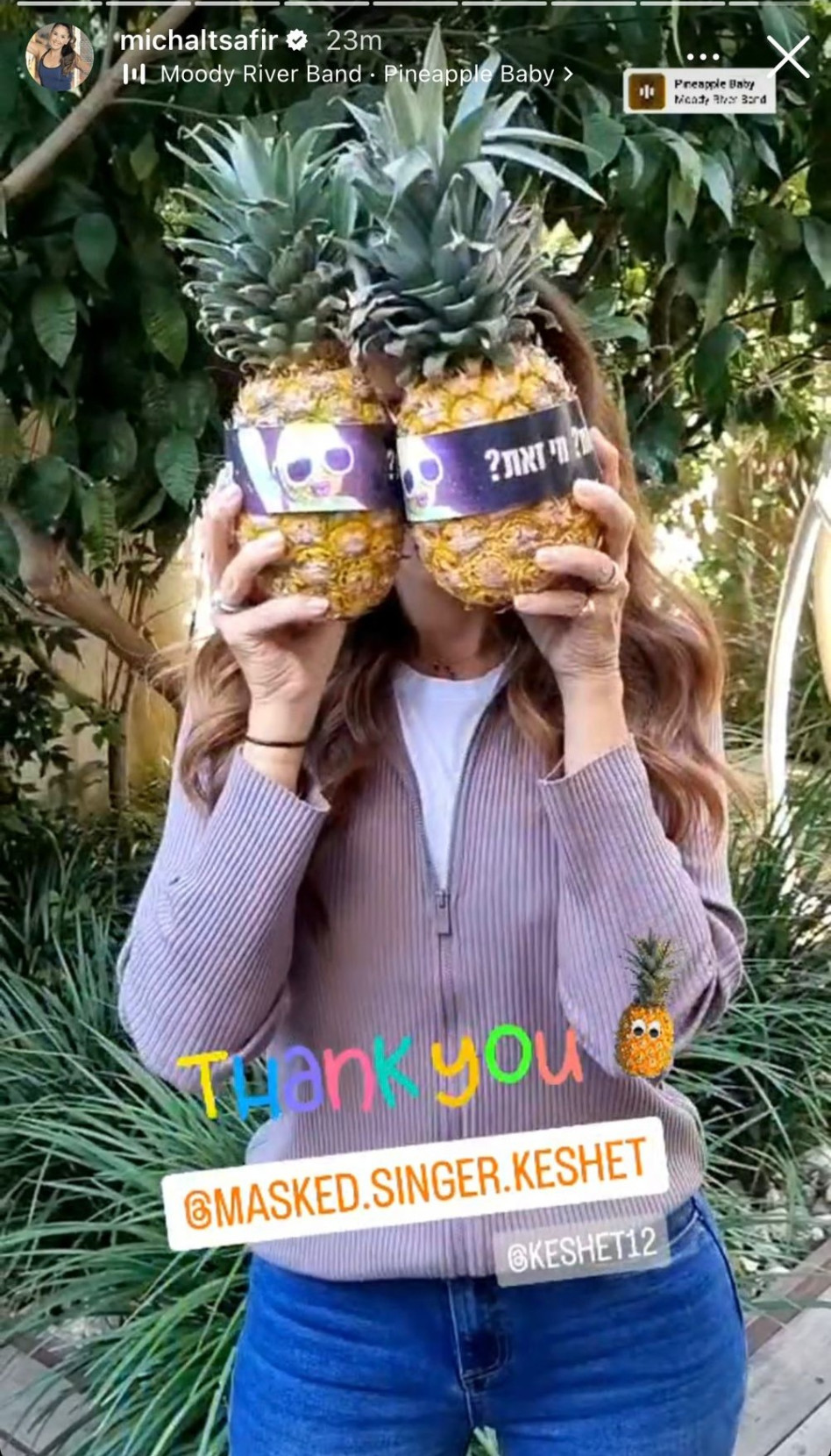 מיכל צפיר היא האננס? (צילום: צילום מסך אינסטגרם)