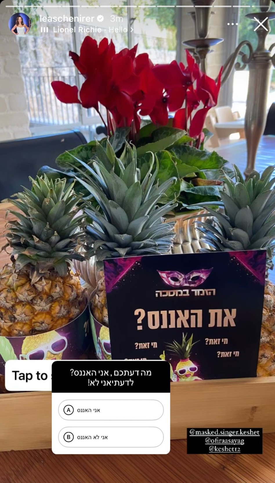 לאה שנירר היא האננס? (צילום: צילום מסך אינסטגרם)