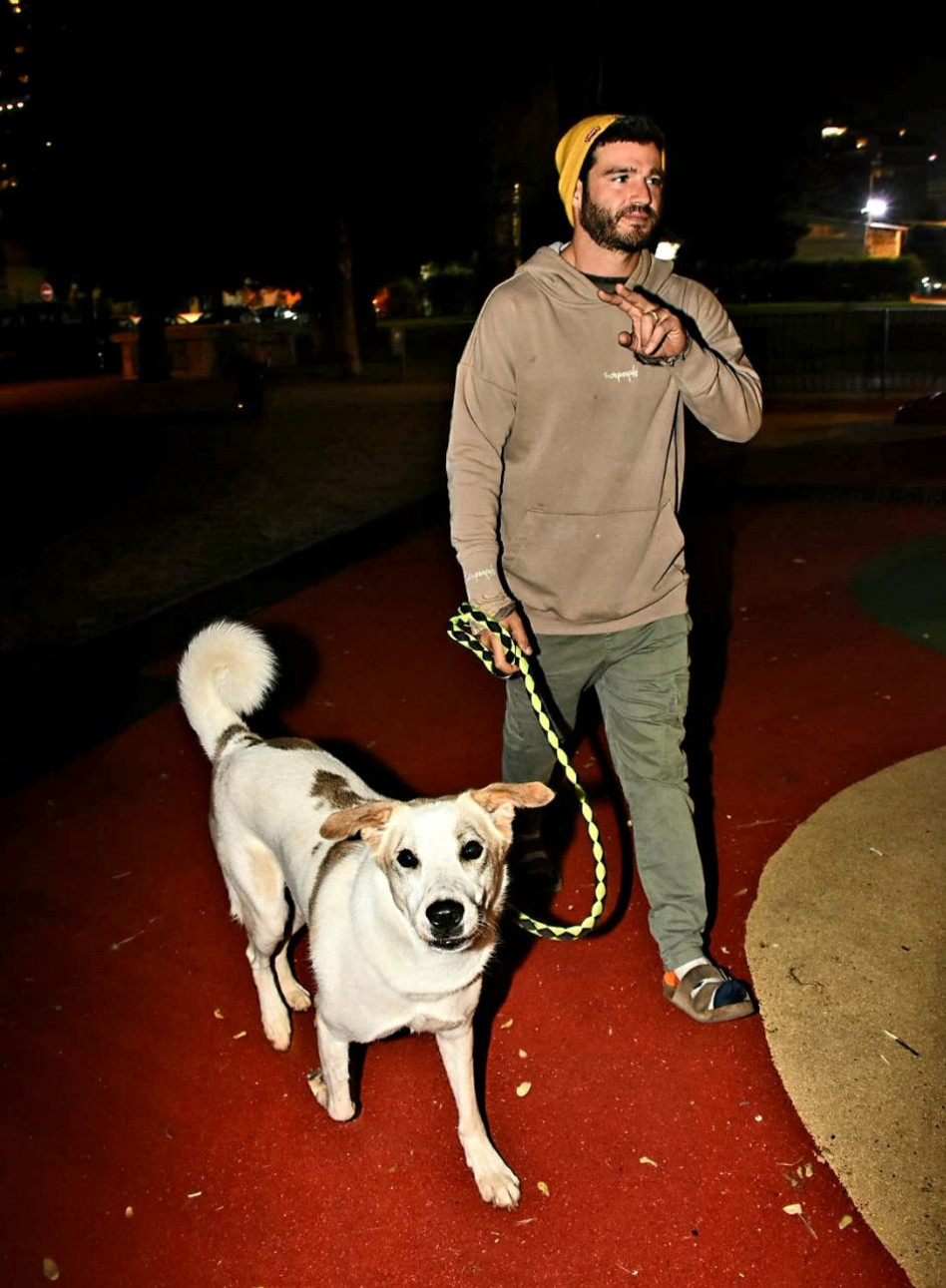 מאור שוויצר (צילום: אמיר מאירי)