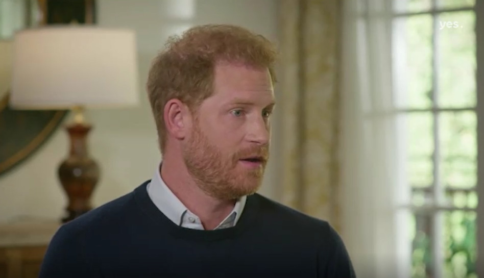הנסיך הארי (צילום: באדיבות yes ו- STINGTV)