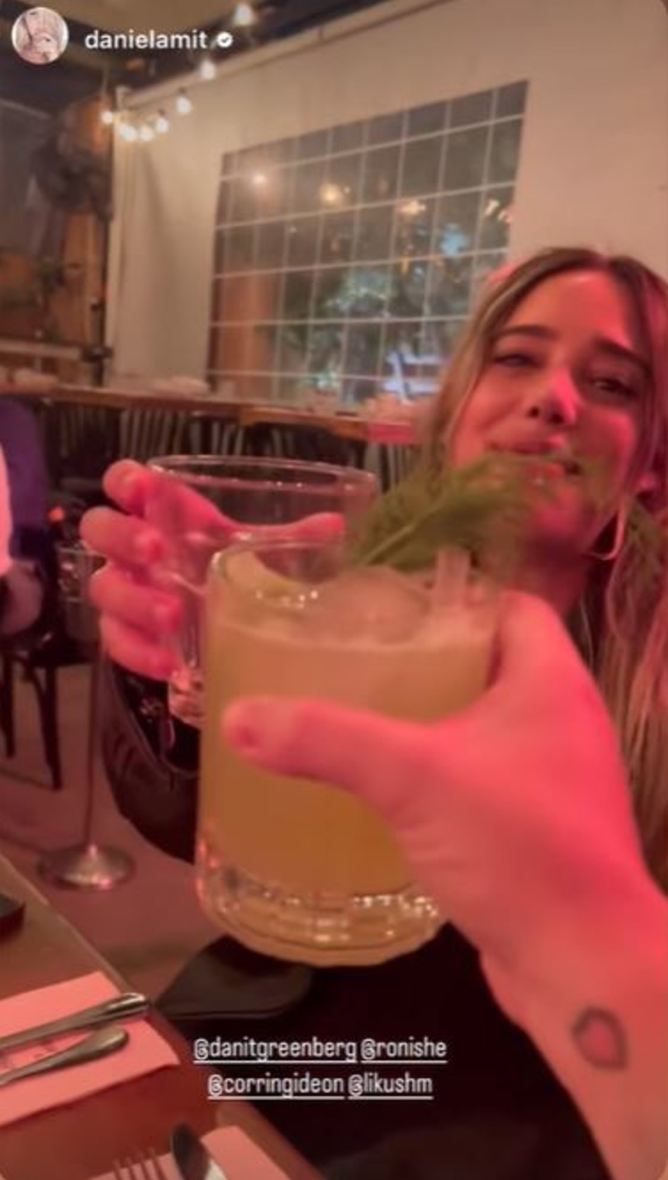 דנית גרינברג (צילום: צילום מסך אינסטגרם)