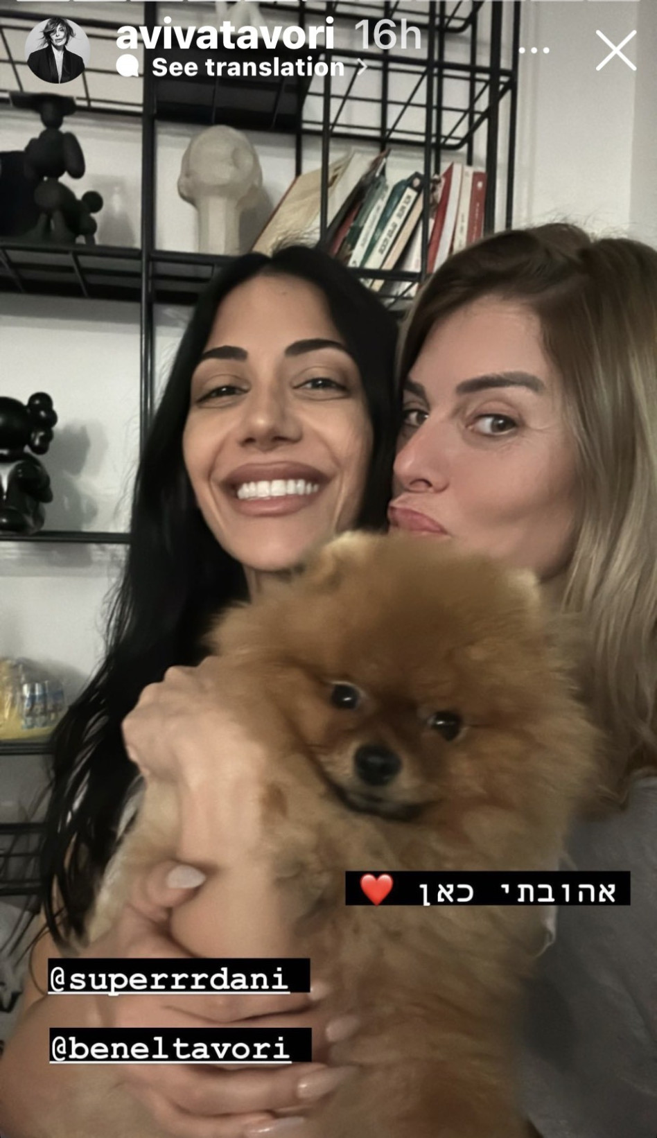 אביבה תבורי, דניאל לוי (צילום: צילום מסך אינסטגרם)