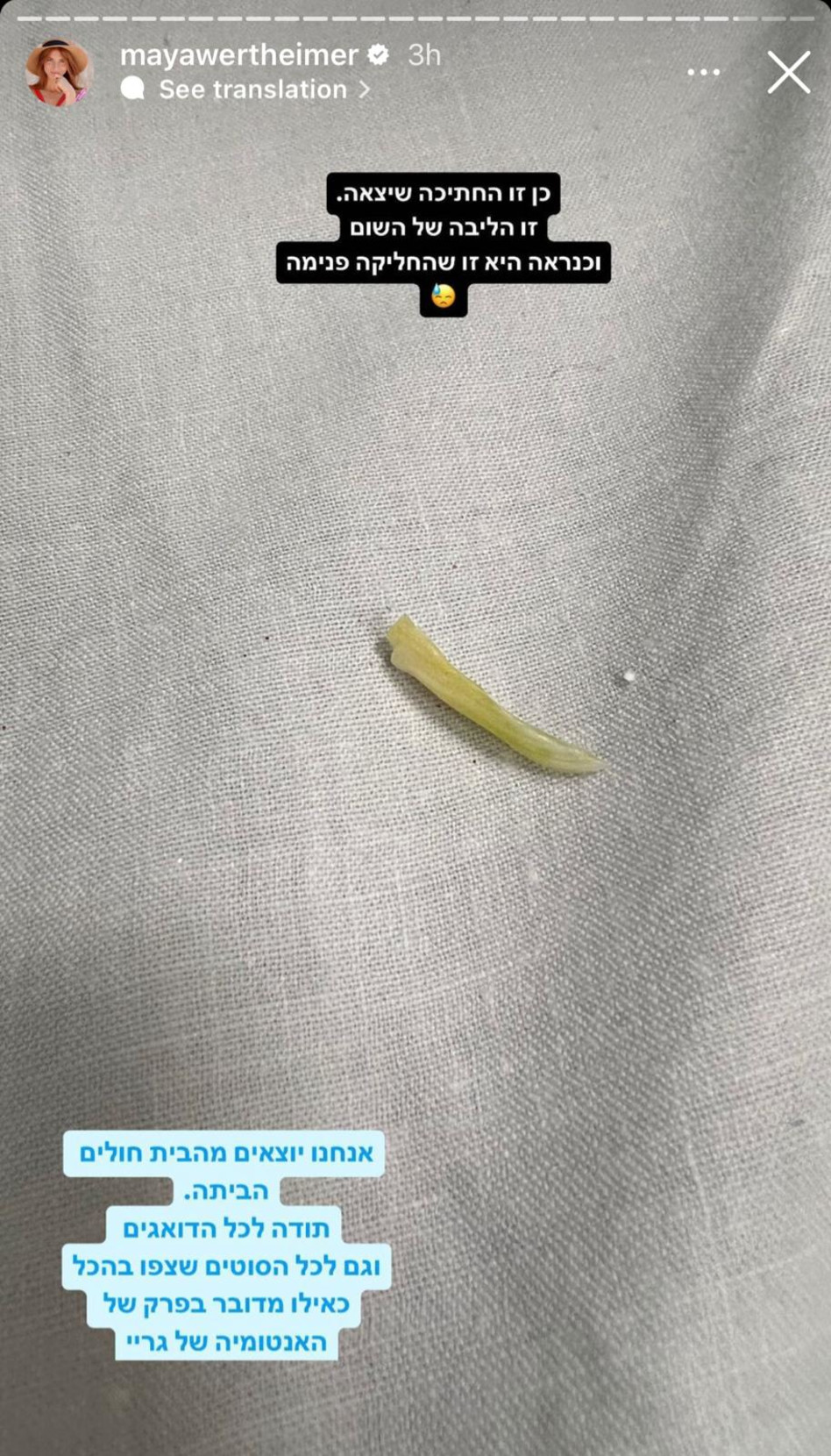 חברים אזהרה - ליבת שום מחליקה. להשתמש בשן קשיחה ועמידה לעור התוף  (צילום: צילום מסך אינסטגרם)